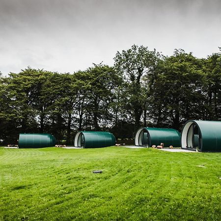 Further Space At Thornfield Luxury Glamping Pods, The Dark Hedges, Ballycastle Ballymoney Exteriér fotografie