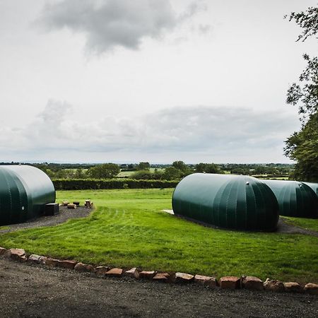 Further Space At Thornfield Luxury Glamping Pods, The Dark Hedges, Ballycastle Ballymoney Exteriér fotografie