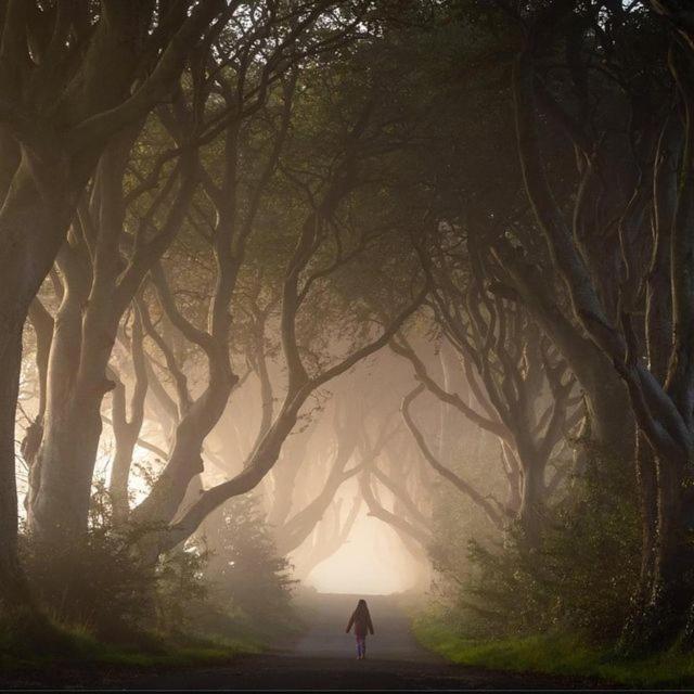 Further Space At Thornfield Luxury Glamping Pods, The Dark Hedges, Ballycastle Ballymoney Exteriér fotografie